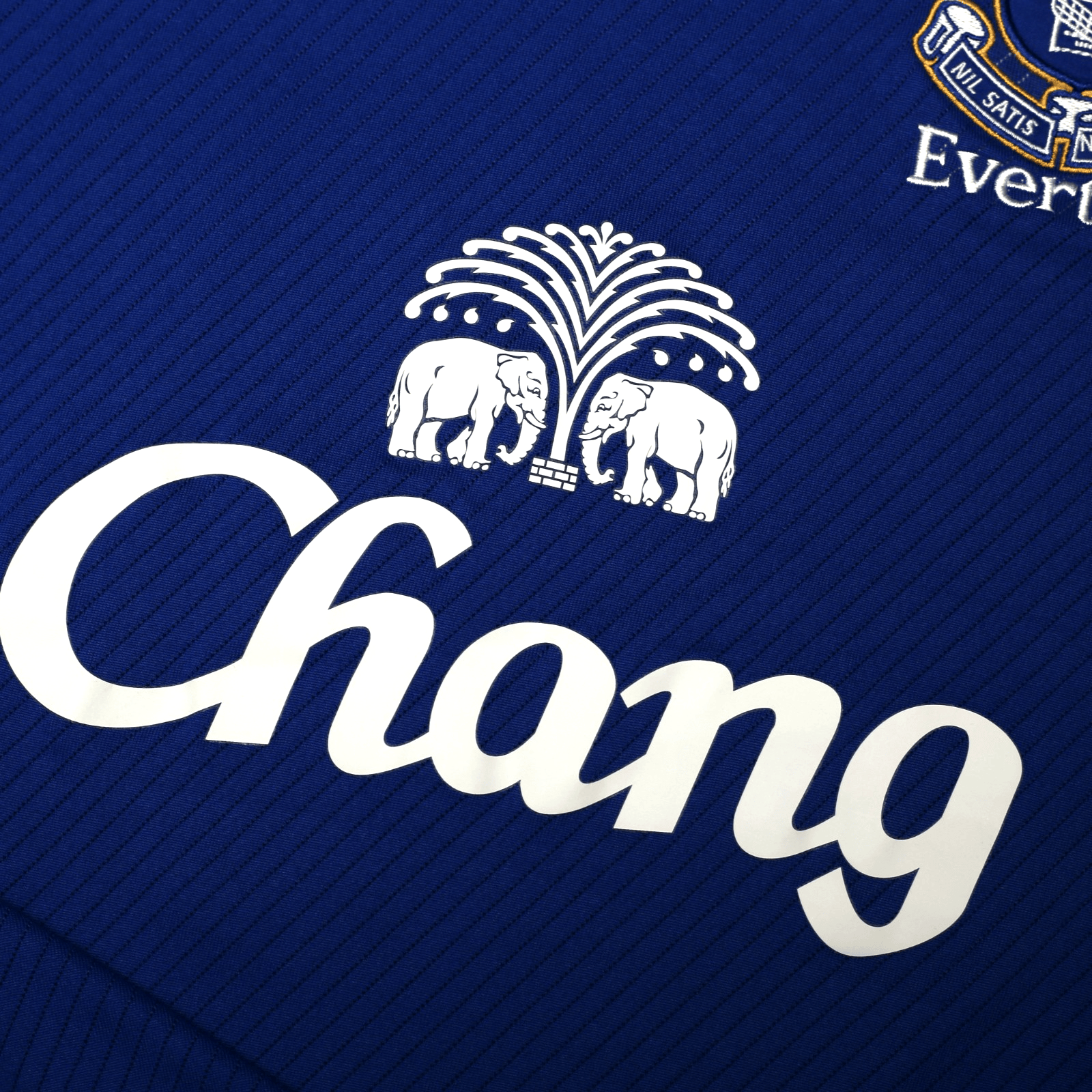 2008/09 Pienaar #20 Everton Vintage Umbro Home Football Shirt (L)