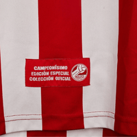 2006 Chivas Guadalajara Puma Home Medium Excellent