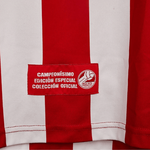 2006 Chivas Guadalajara Puma Home Medium Excellent