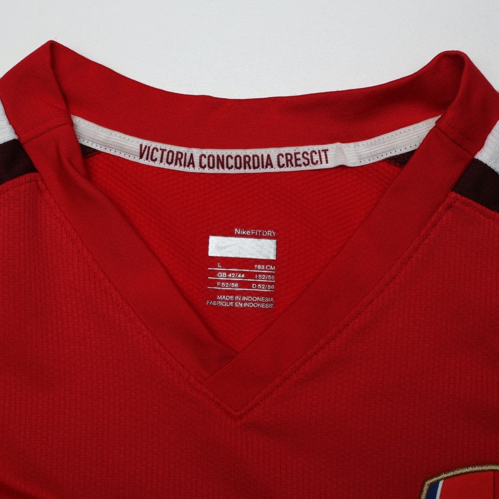 2008/10 Arshavin #23 Arsenal Vintage Nike Home Football Shirt (L)