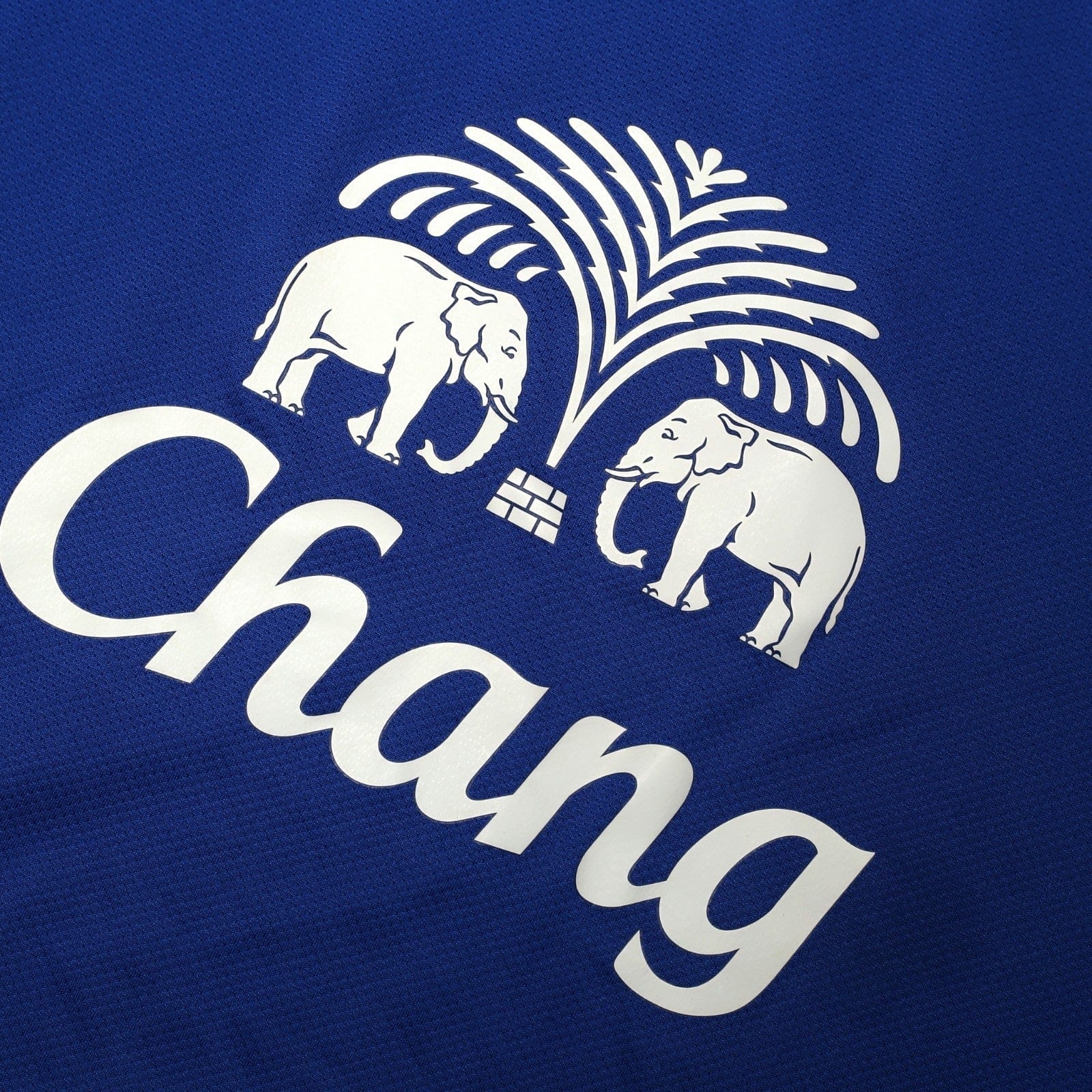 2013/14 Lukaku #17 Everton Vintage Nike Home Football Shirt (M/L)