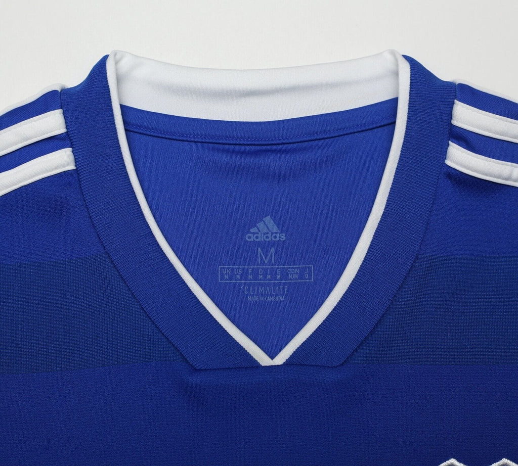 2018/19 HOILETT #33 Cardiff City MATCH WORN Home Football Shirt (M)