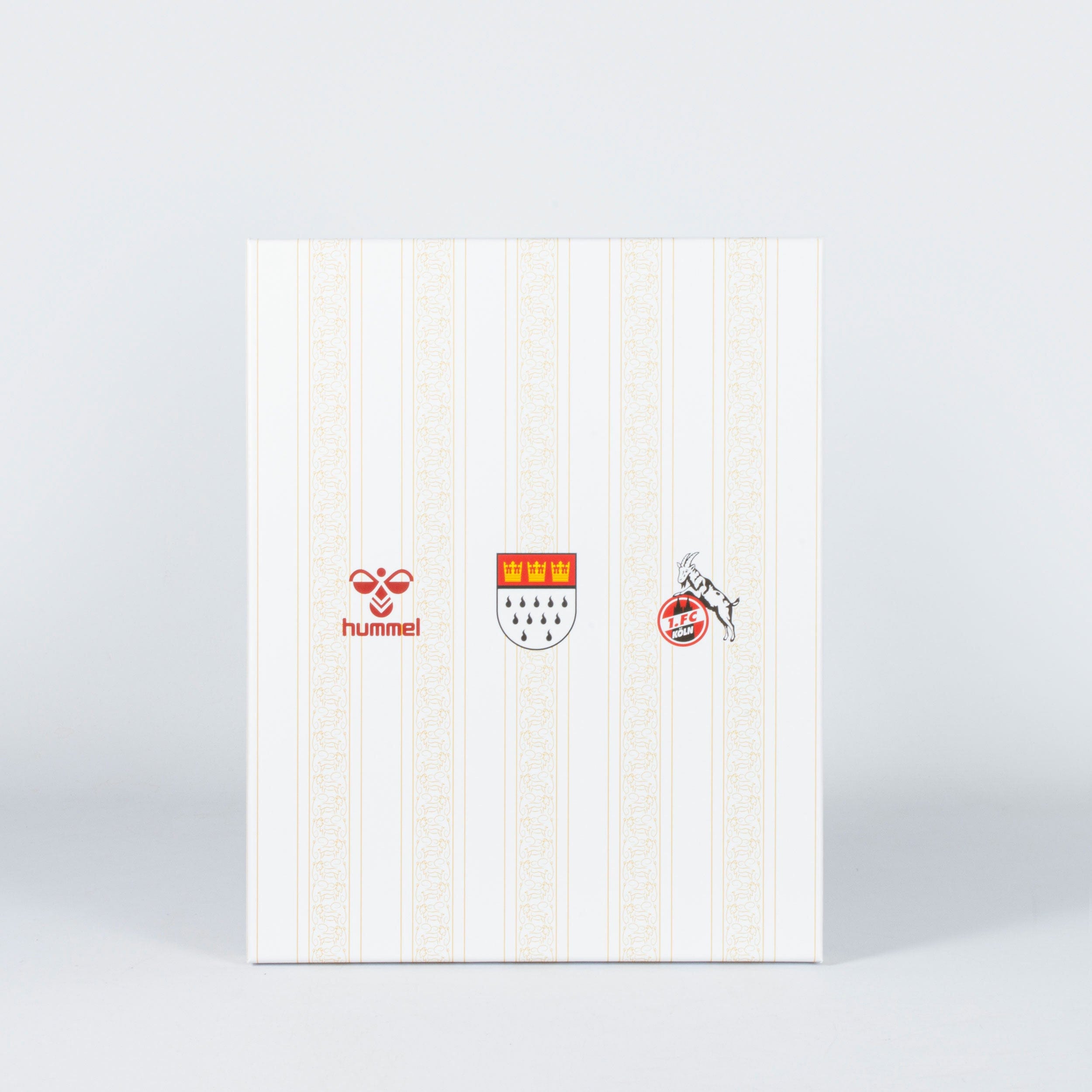 FC Köln 2023/24 hummel Carnival shirt New in box