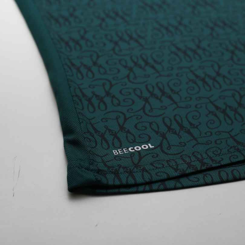 Werder Bremen. 2023-24 new 125 anniversary shrit  New in box Hummel