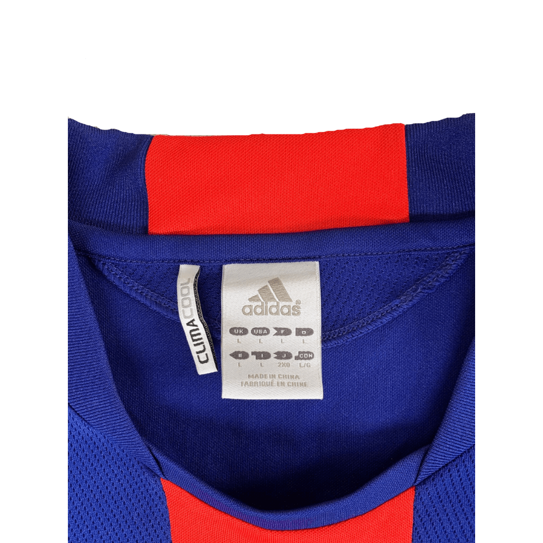 Football Shirt Collective 2010 Japan National Team Home Shirt HOSOGAI 13 (L)